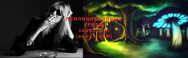 таблы Алексеевка