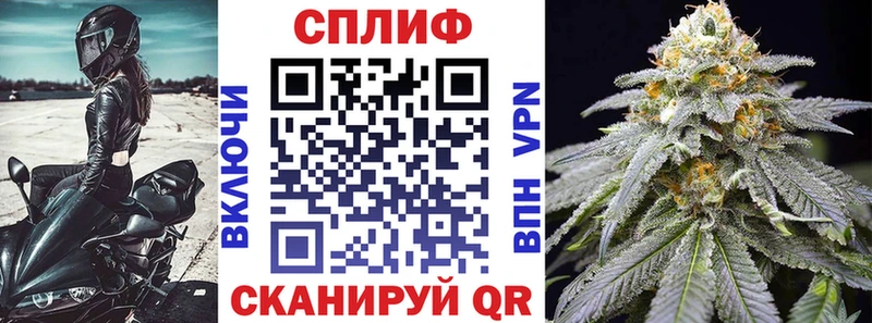 МАРИХУАНА THC 21%  купить наркотики сайты  Суджа 